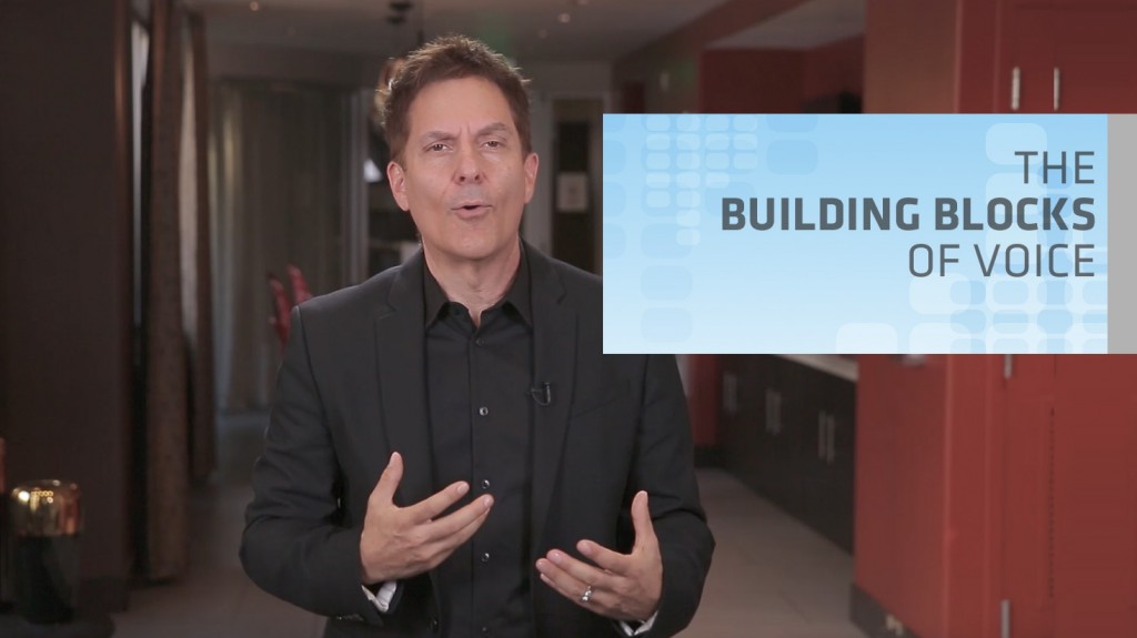 The Building Blocks of Voice